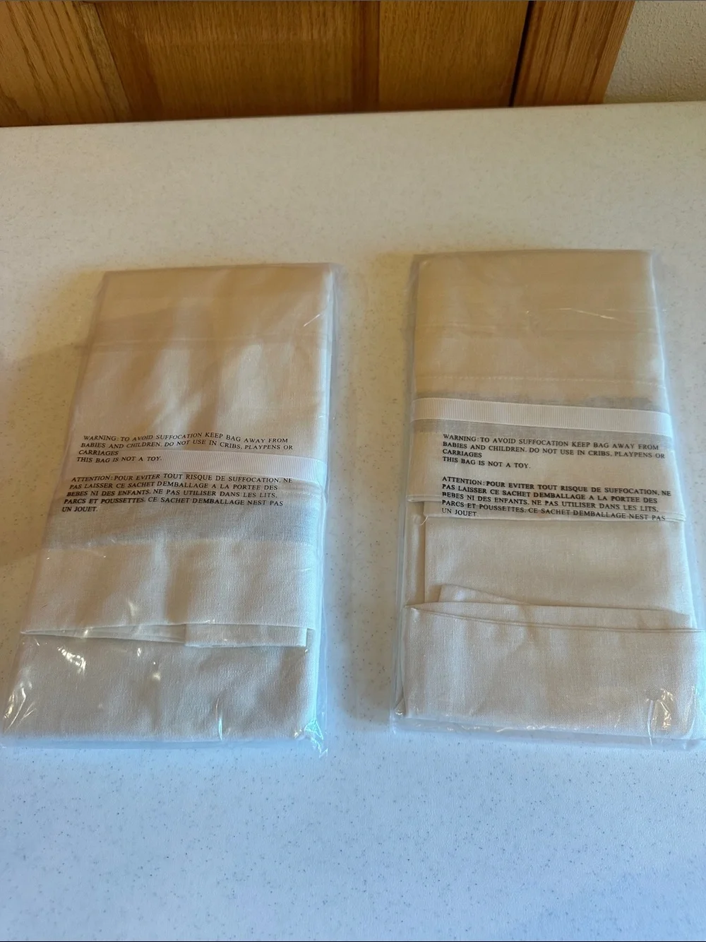 Pottery Barn Set of 2 Embroidered Cream Linen Travel (laundry) Bags